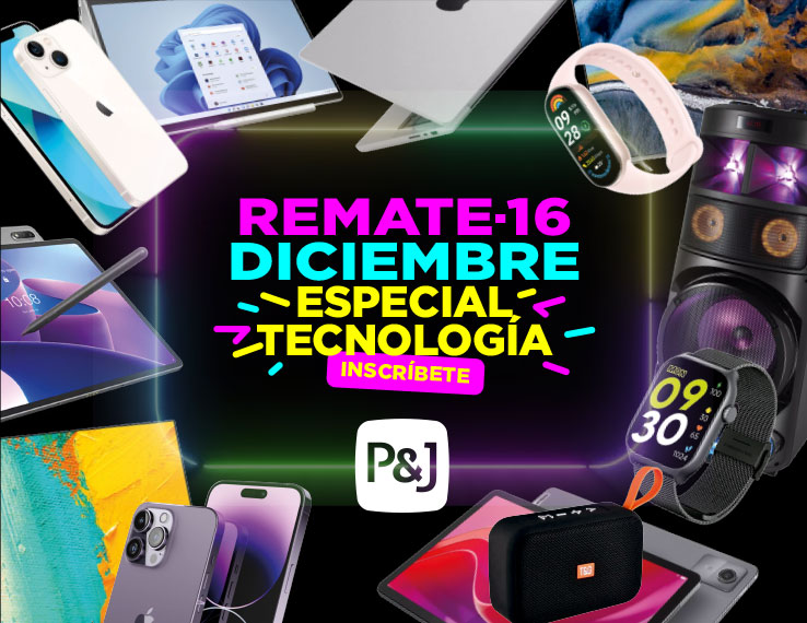 productos y lotes para remates online