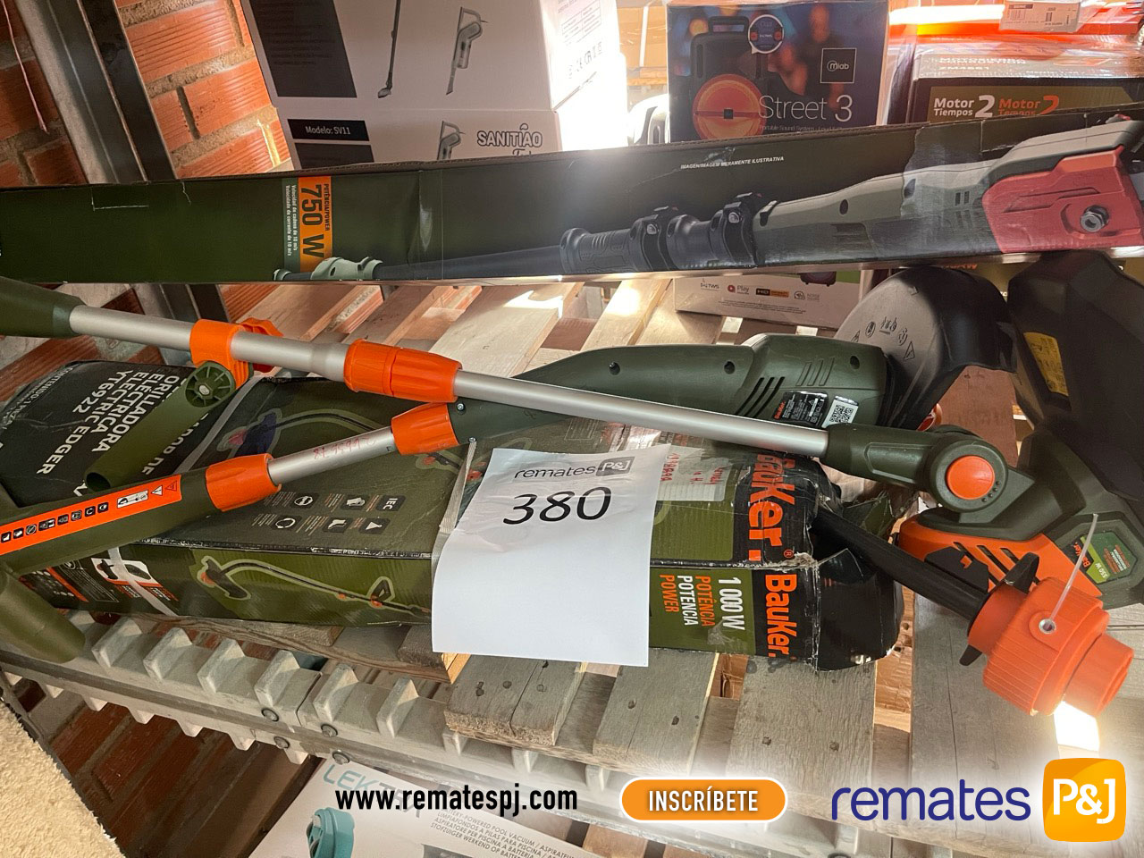 lotes de un remate online