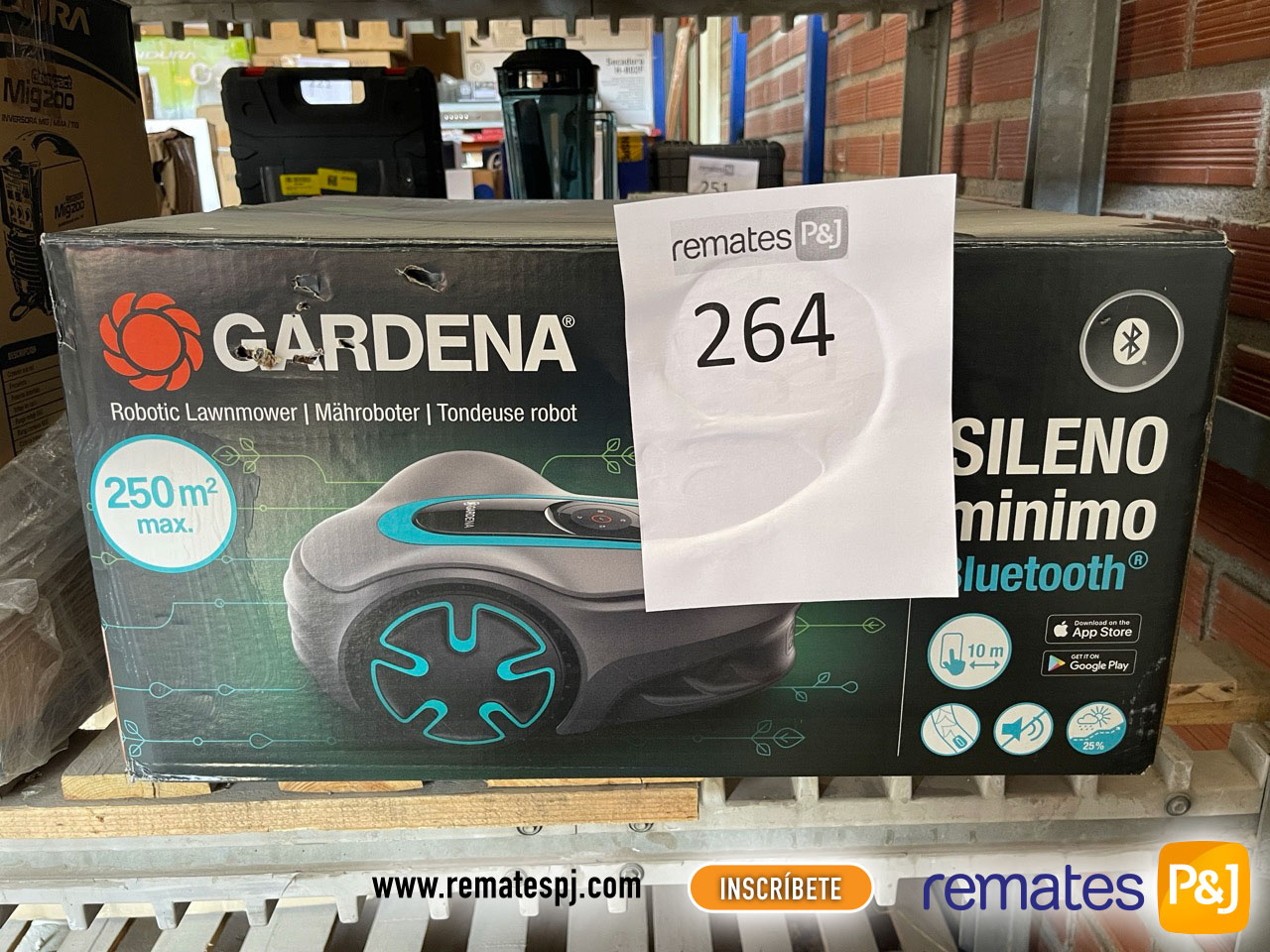 lotes de un remate online